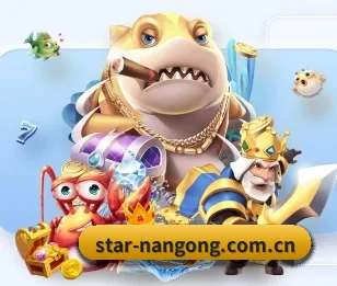 star-nangong.com.cn的故事 - 体育资讯内容服务